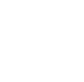 github skill